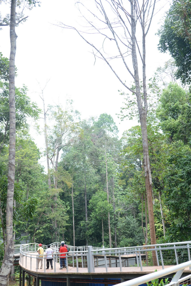 PPTC 083
